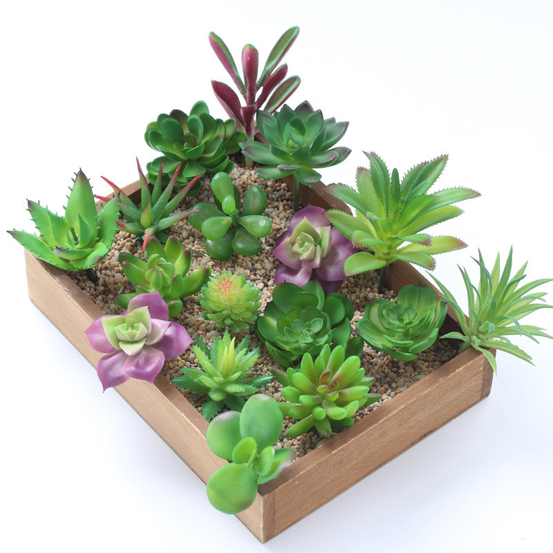 2021 künstliche Sukkulenten Pf – Bonsai Garden Ideas Bewertung und Preis