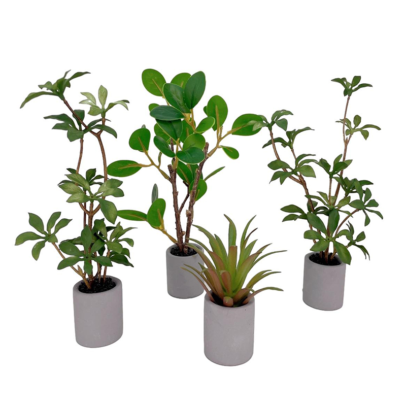 1:6 Puppenhaus Miniatur Topfpf – Bonsai Garden Ideas Bewertung und Preis