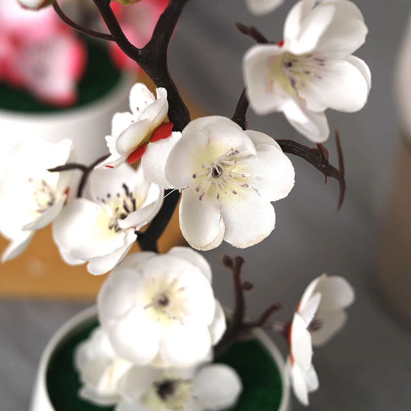 Weihnachten gefälschte grüne P – Bonsai Garden Ideas Bewertung und Preis
