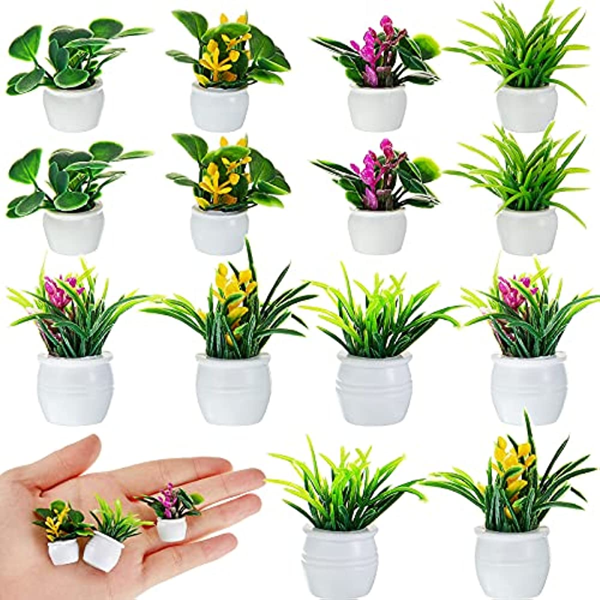Puppenhaus-Pflanze, Miniatur-B – Bonsai Garden Ideas Bewertung und Preis
