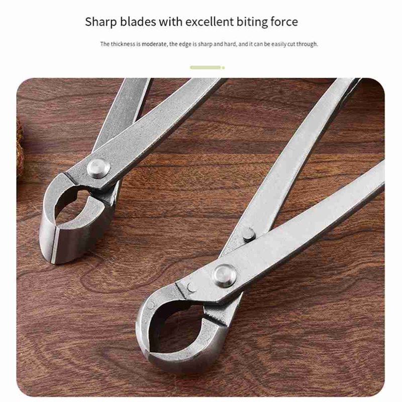ABGH-Bonsai-Baumwerkzeuge, 4-t – Root Hook Tool Bewertung und Preis