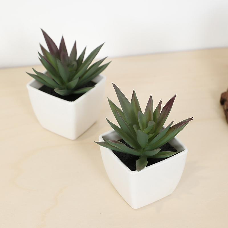 Mini künstliche Sukkulenten-Fe – Bonsai Garden Ideas Bewertung und Preis