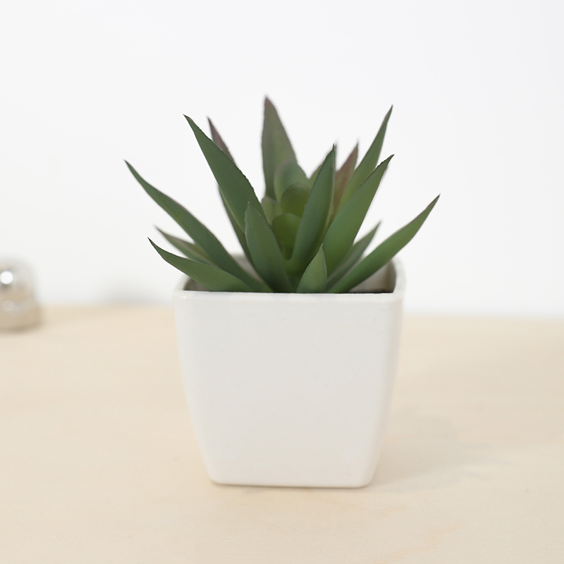 Mini künstliche Sukkulenten-Fe – Bonsai Garden Ideas Bewertung und Preis
